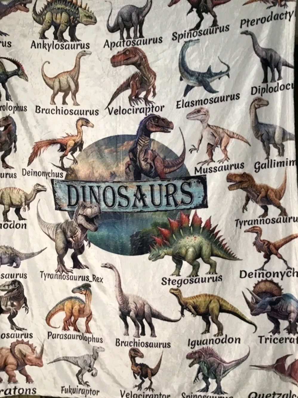 Kids Blanket Dinosaurs Graphic Shirt - Multi-Color